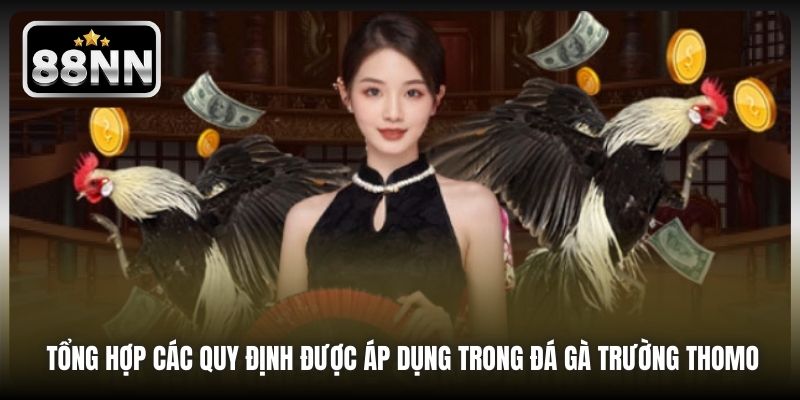 Tổng hợp các quy định được áp dụng trong đá gà trường Thomo